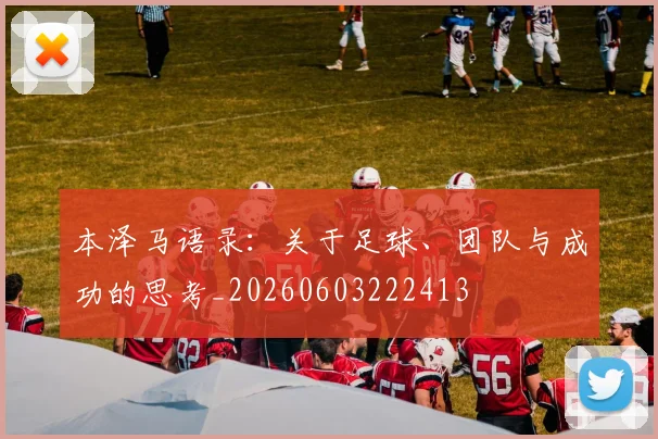 本泽马语录：关于足球、团队与成功的思考_20260603222413